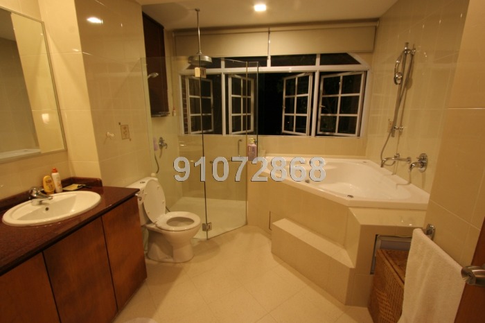 Mount Faber Lodge (D4), Condominium #291122